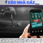 Cách Đọc Tỷ Lệ Cá Cược Tỷ Số Trong Bóng Đá Chuẩn Chỉ 11 Cách Đọc Tỷ Lệ Cá Cược Tỷ Số Trong Bóng Đá Chuẩn Chỉ