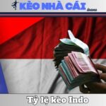 Cách Tính Tỷ Lệ Kèo Indo Cho Người Soi Kèo Bóng Đá