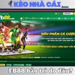 Fb88 Bảo Trì Lâu Vì Lý Do Nào? Tìm Hiểu Nguyên Nhân Chuẩn Xác