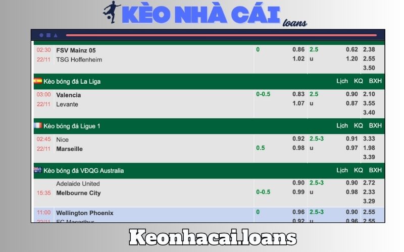 Giới thiệu tổng quan về kèo nhà cái Keonhacai.loans