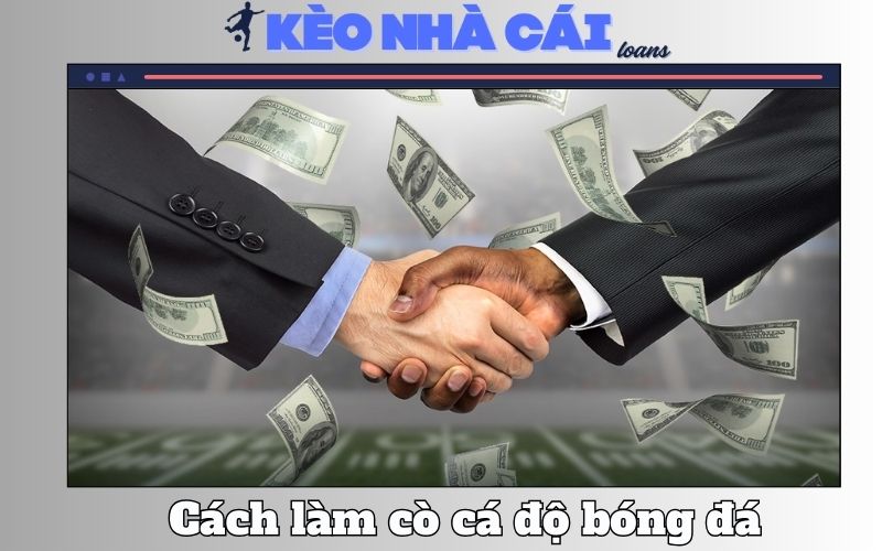 Làm Cò Cá Độ Bóng Đá – Thực Trạng, Rủi Ro Và Hệ Lụy