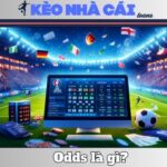 Odds Là Gì? Giải Thích Rõ Ràng, Thực Tế Và Dễ Hiểu 13 Odds Là Gì? Giải Thích Rõ Ràng, Thực Tế Và Dễ Hiểu