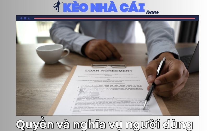 Điều khoản sử dụng 2 Quyền và nghĩa vụ của người dùng