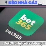 ​Sự Thật Bet365 Bị Tố Treo Cược Có Thật Hay Không?
