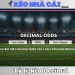Tỷ Lệ Kèo Decimal Là Gì? Cách Cá Cược Dễ Thắng Nhất