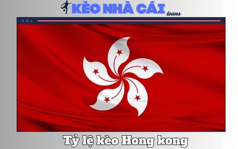 Tỷ Lệ Kèo Hong Kong – Cách Đọc Và Kinh Nghiệm Soi Kèo Thực Chiến