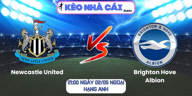 Newcastle United vs Brighton Hove Albion